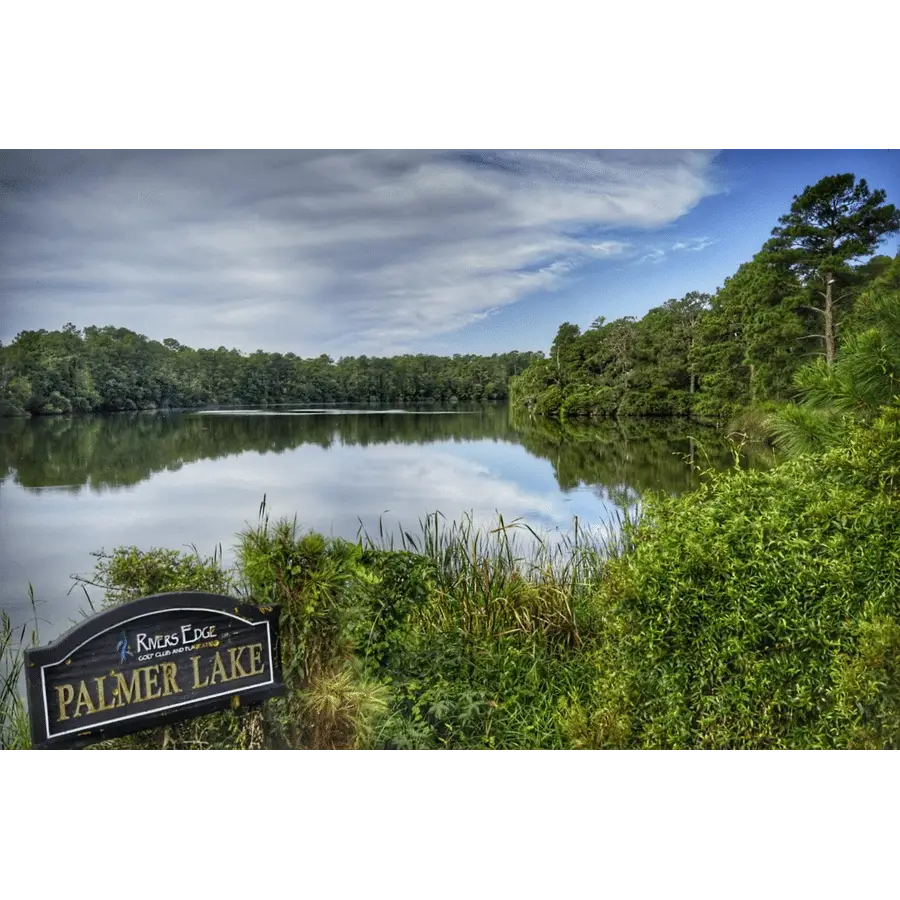 Serene Lake with Lush Greenery