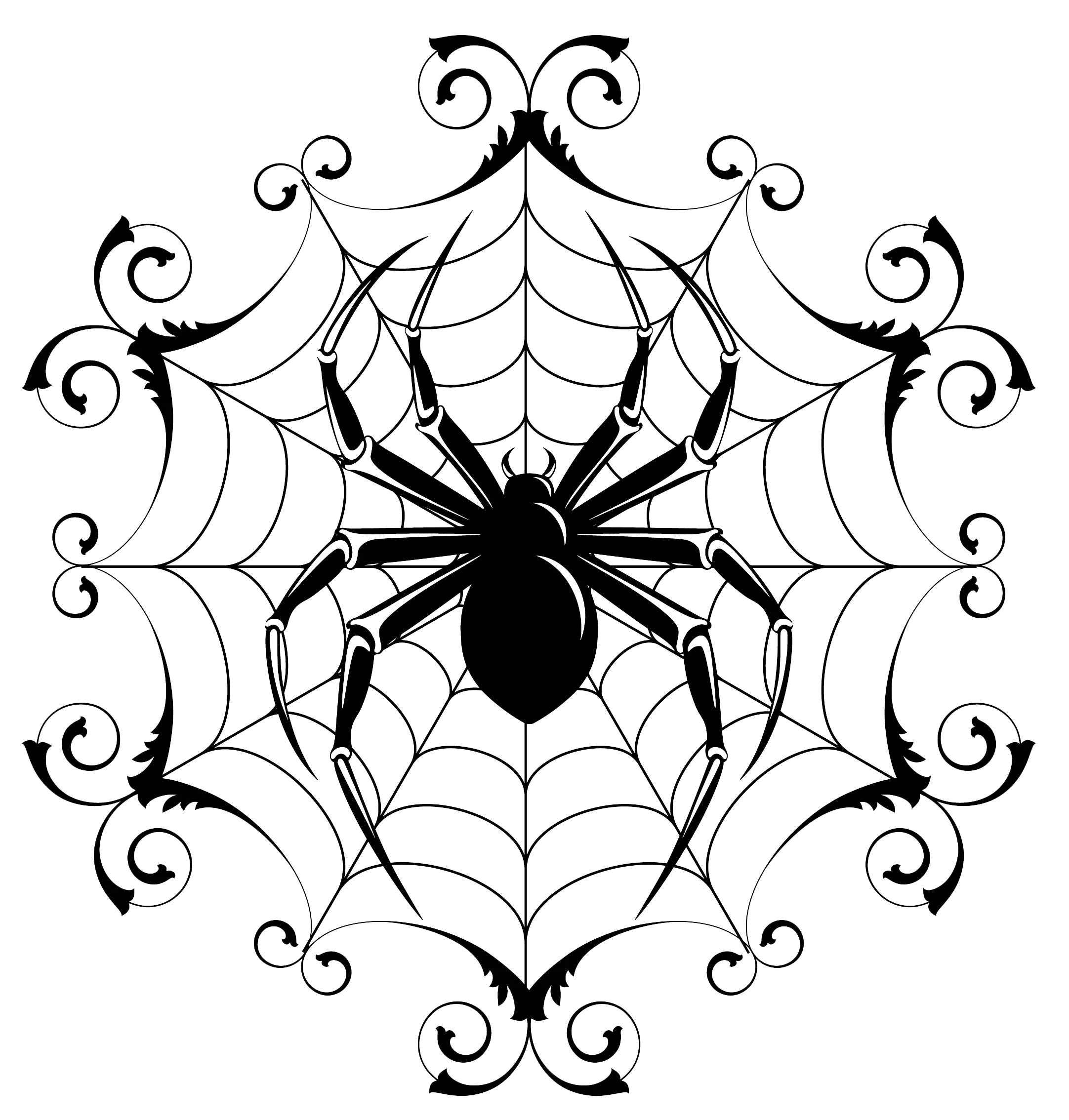 Intricate Spider and Web Design