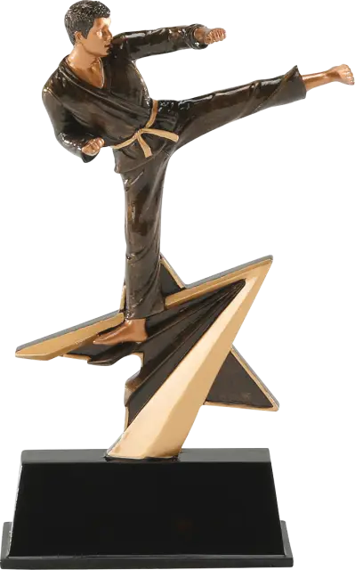 Karate Trophy Award