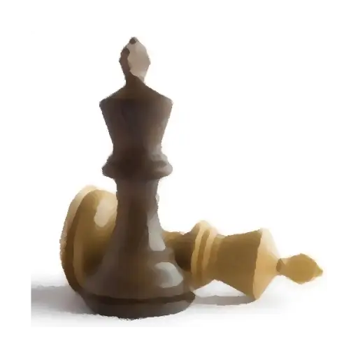 Chess King and Fallen Piece