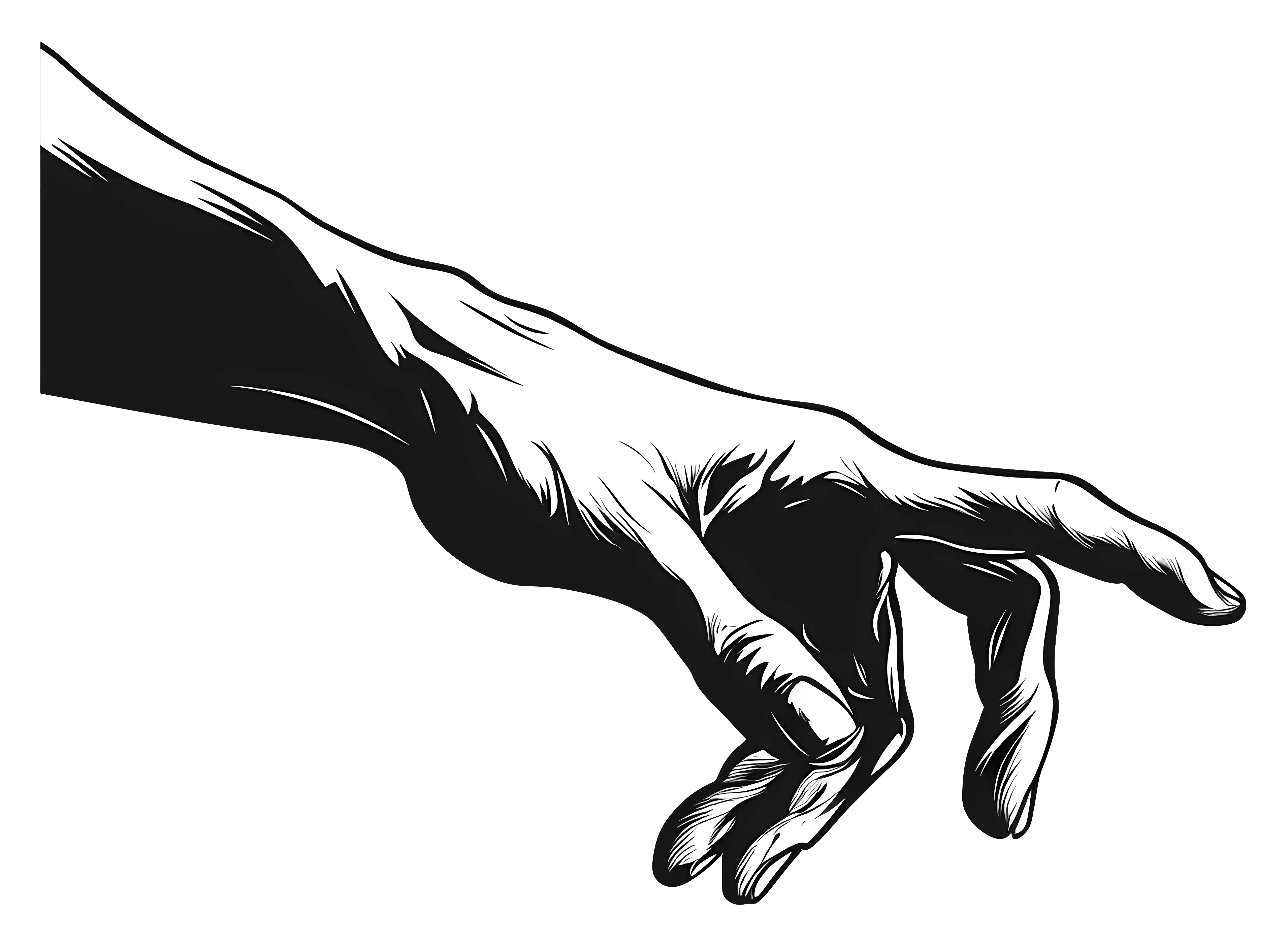 Silhouette Hand Art