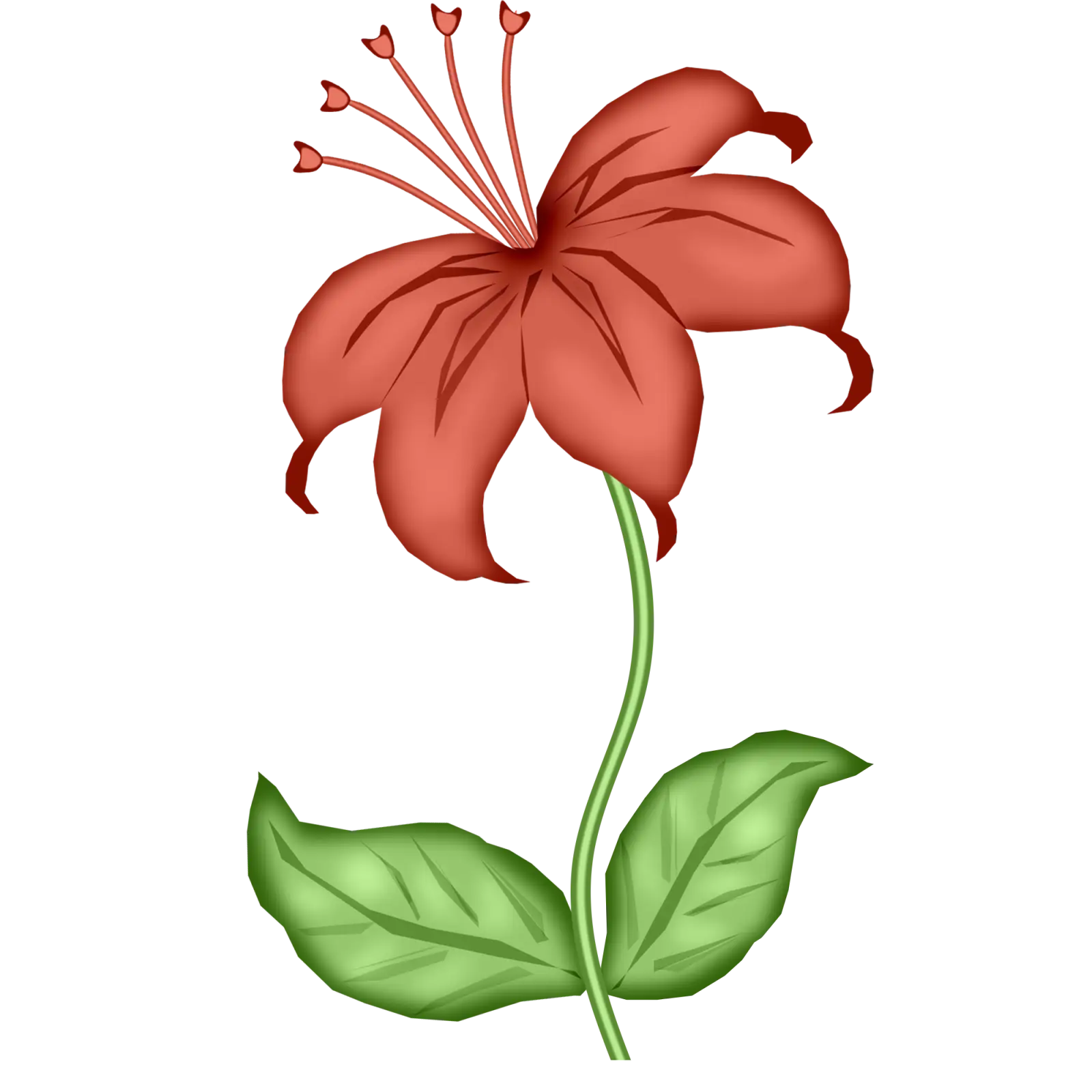 Beautiful Red Flower with Green Leaves