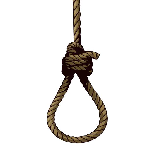 Illustration of a Rope Noose with Detailing