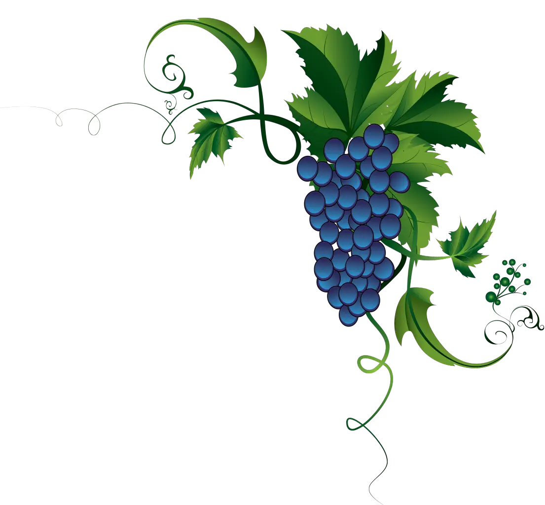 Grapevine Decoration Illustration