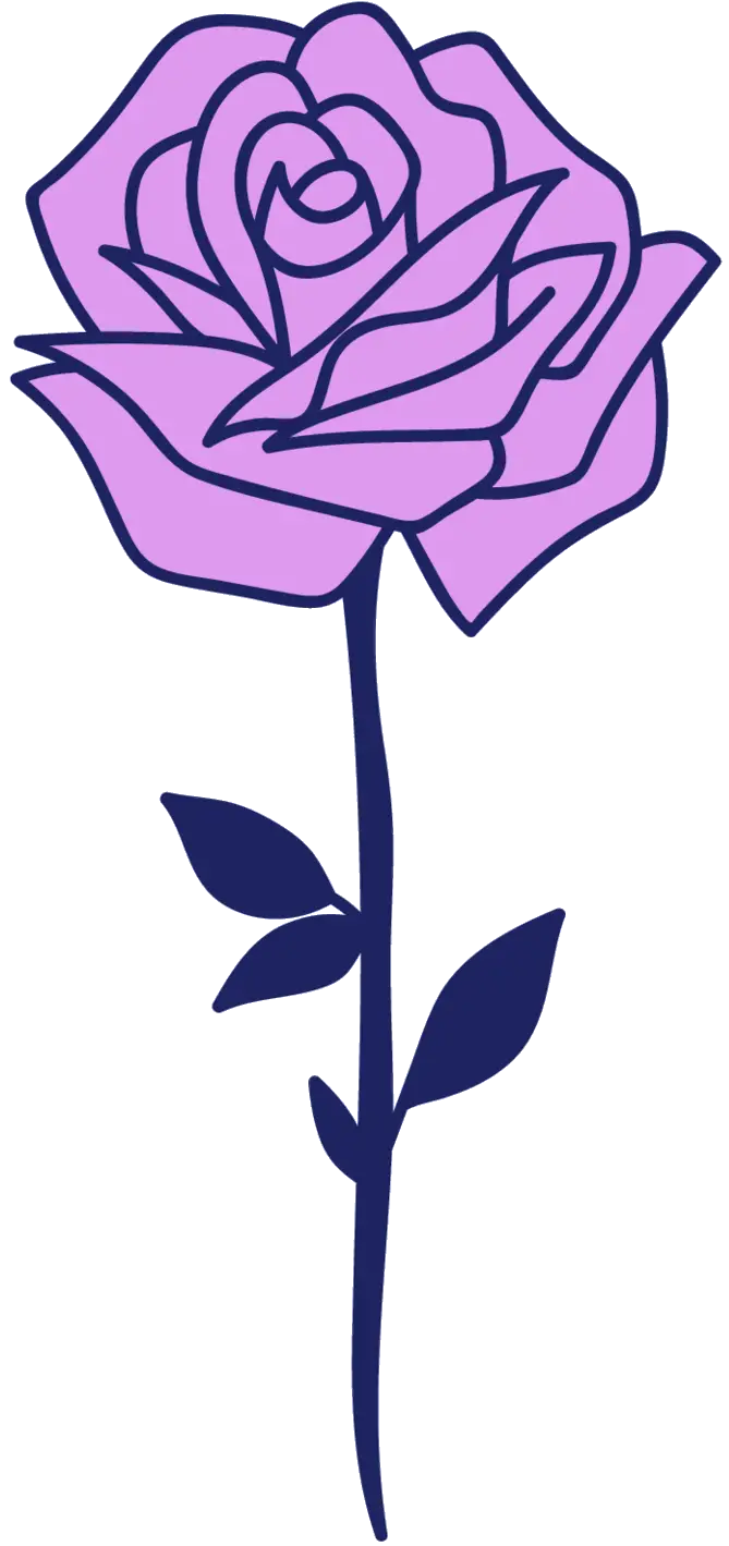 Purple Rose Illustration