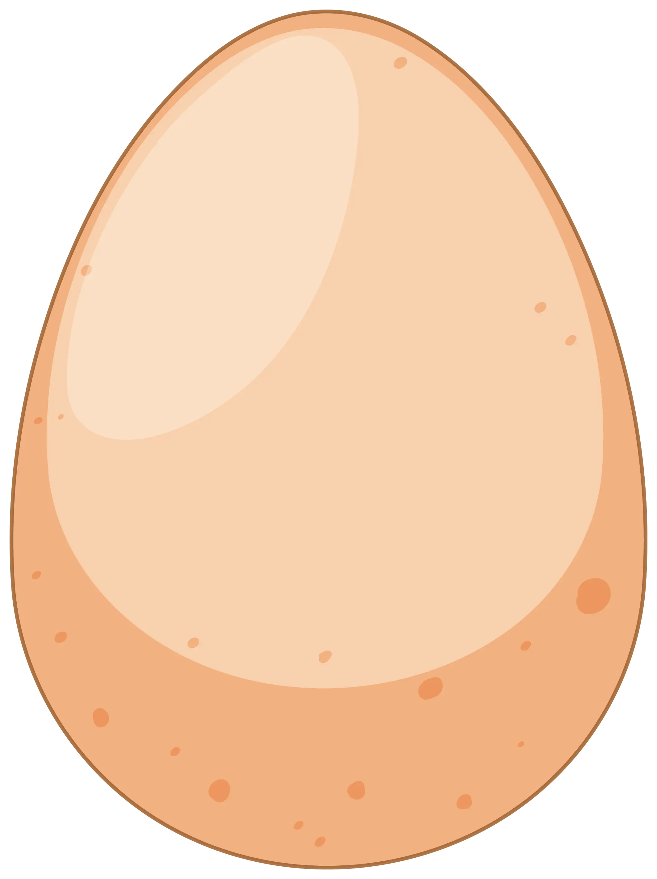 Brown Egg Illustration