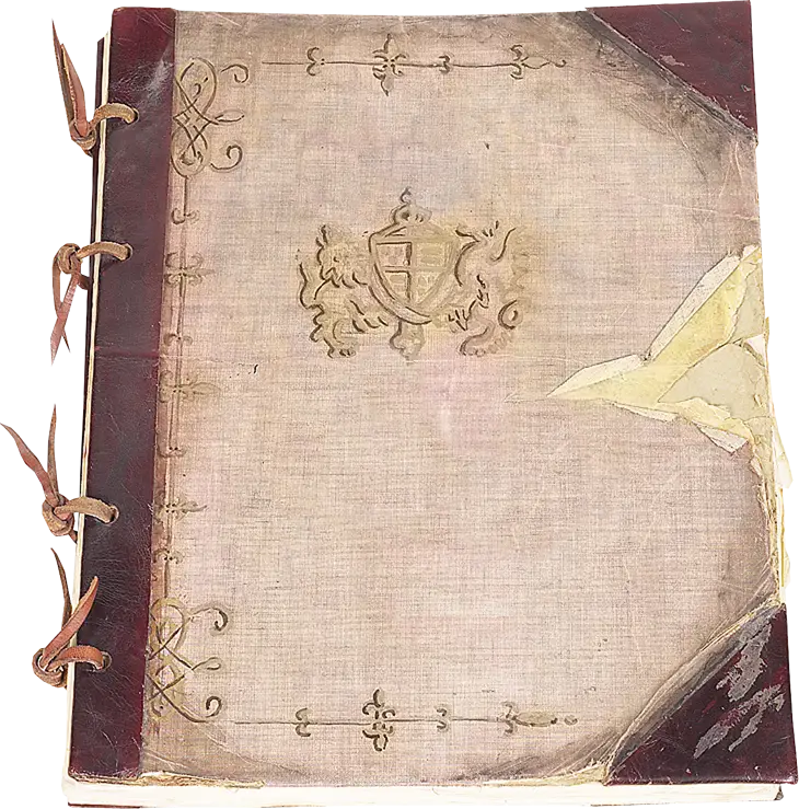 Antique Book with Leather Binding