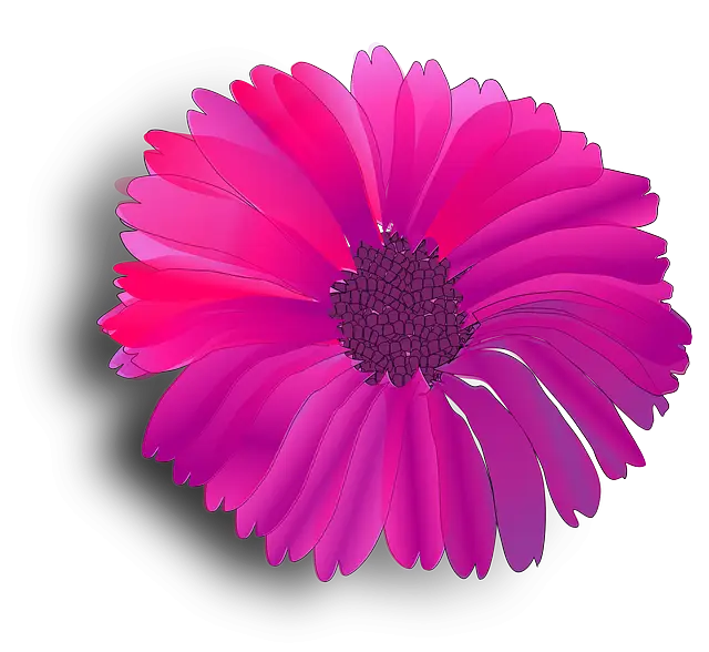 Pink Flower with Vibrant Petals