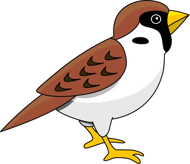 Cartoon Sparrow