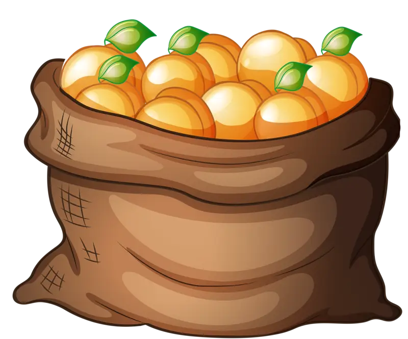Cartoon Bag Filled with Oranges