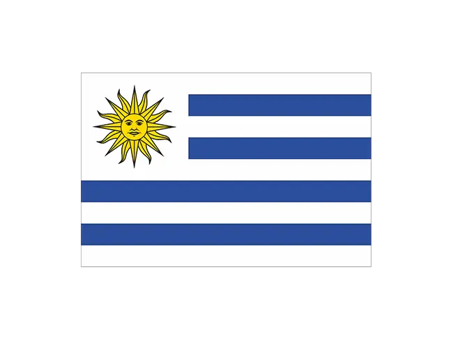 Uruguay National Flag Illustration