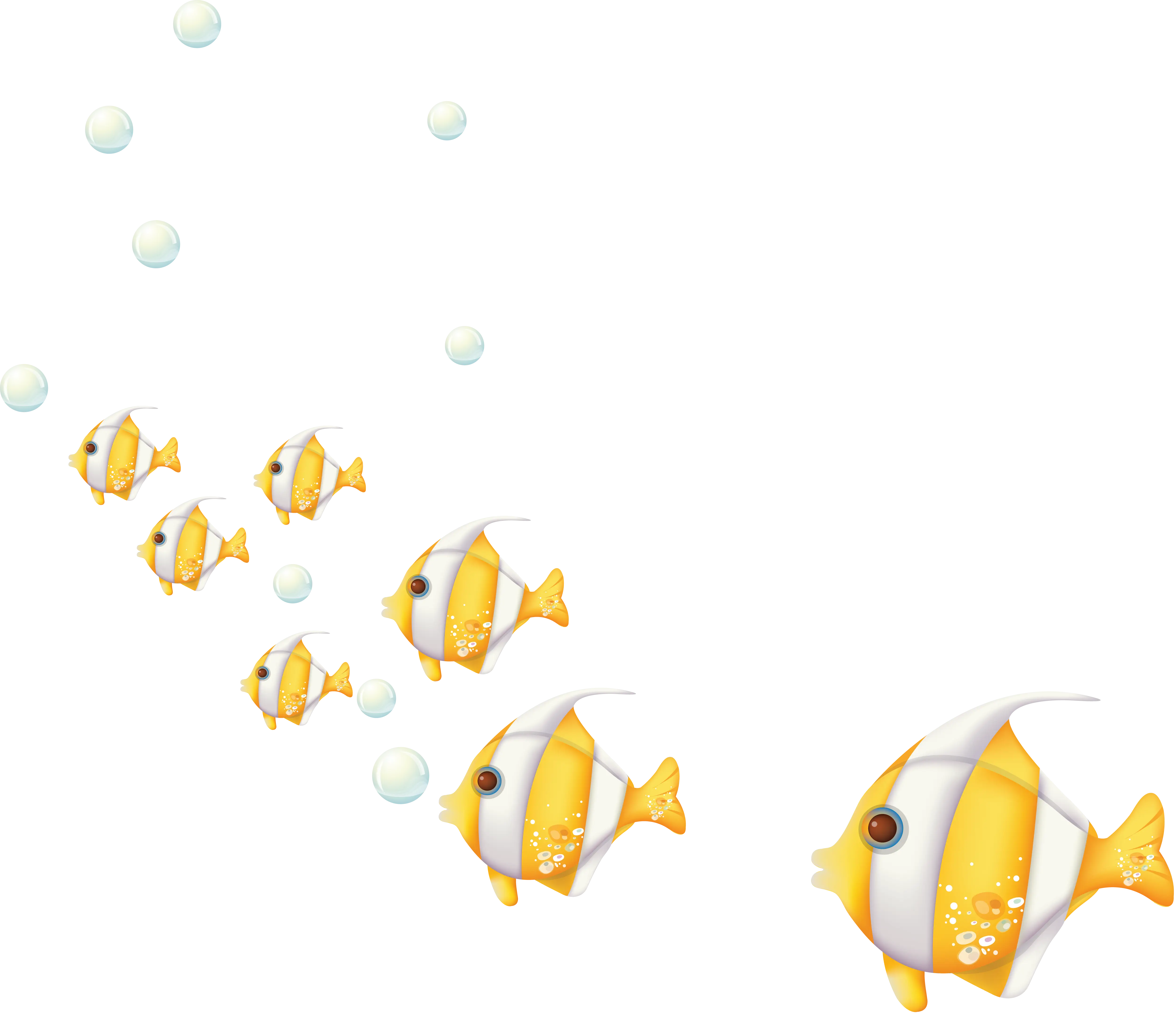 Yellow Fish Swimming