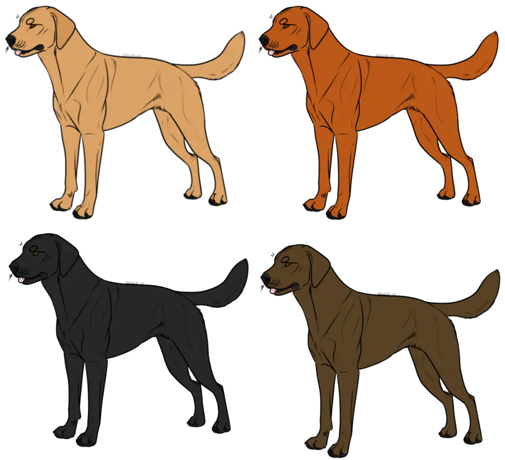 Illustration of Four Standing Dogs in Various Colors