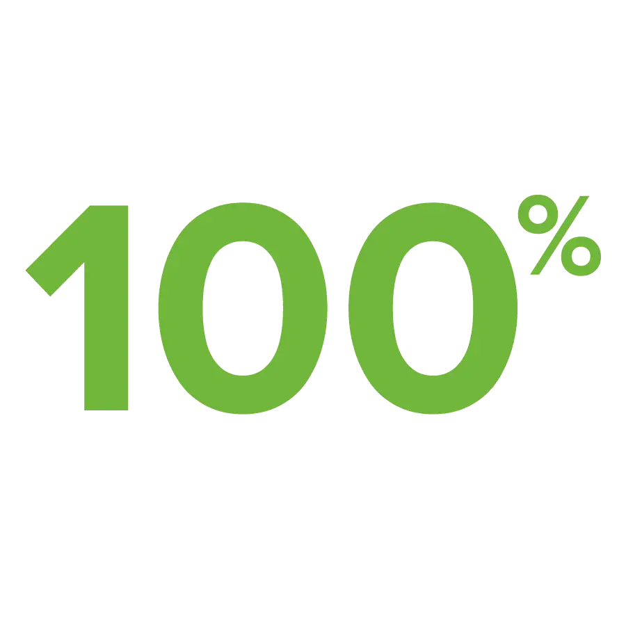 100% Number Graphic in Green
