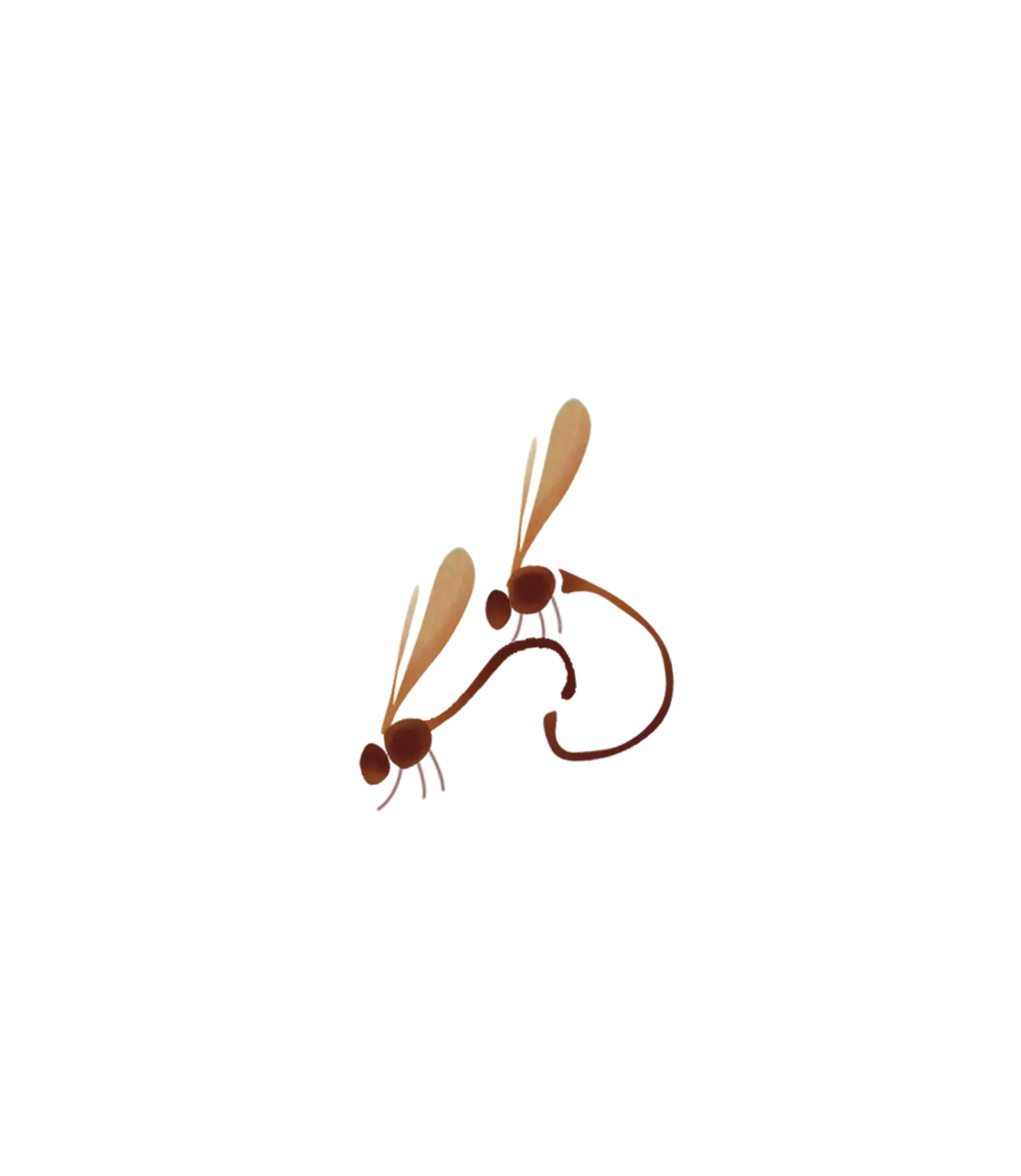 Small Flies
