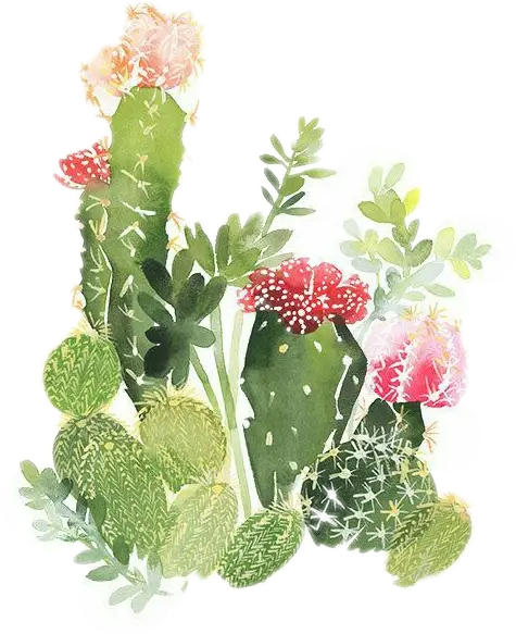 Colorful Cactus Arrangement