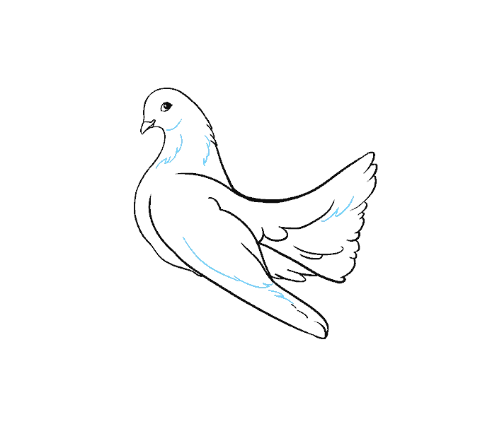 Dove Line Art Illustration with Soft Details