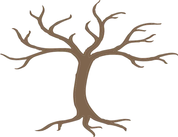 Tree Without Leaves Illustration