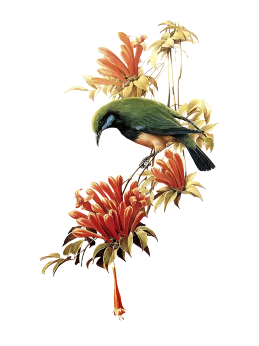 Bird Perched on Vibrant Flowers