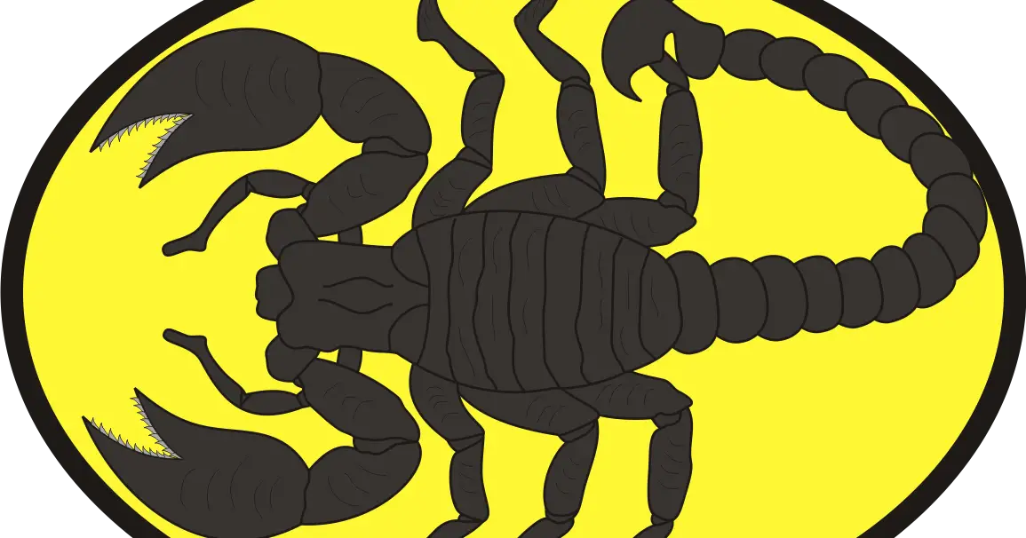 Black Scorpion Illustration