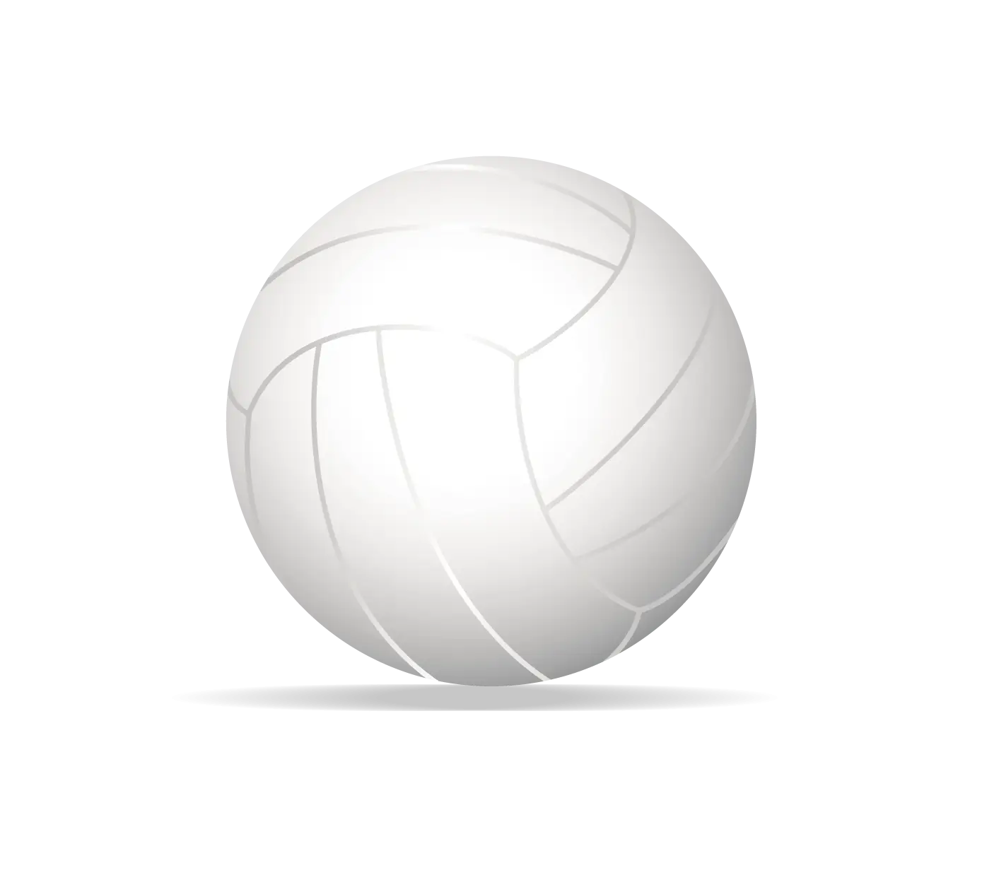White Volleyball for Sports and Recreation