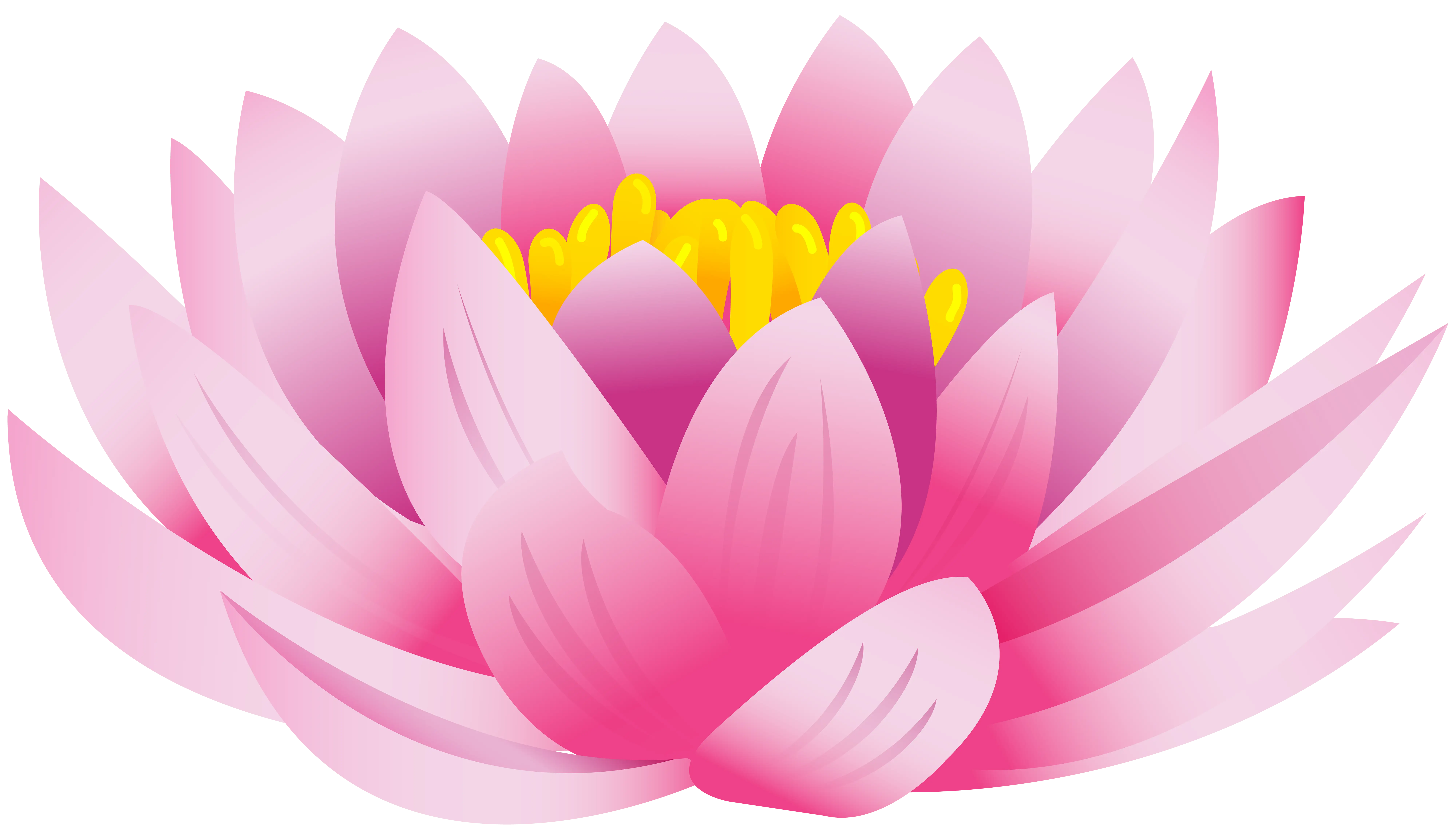 Pink Lotus Flower Symbolizing Serenity