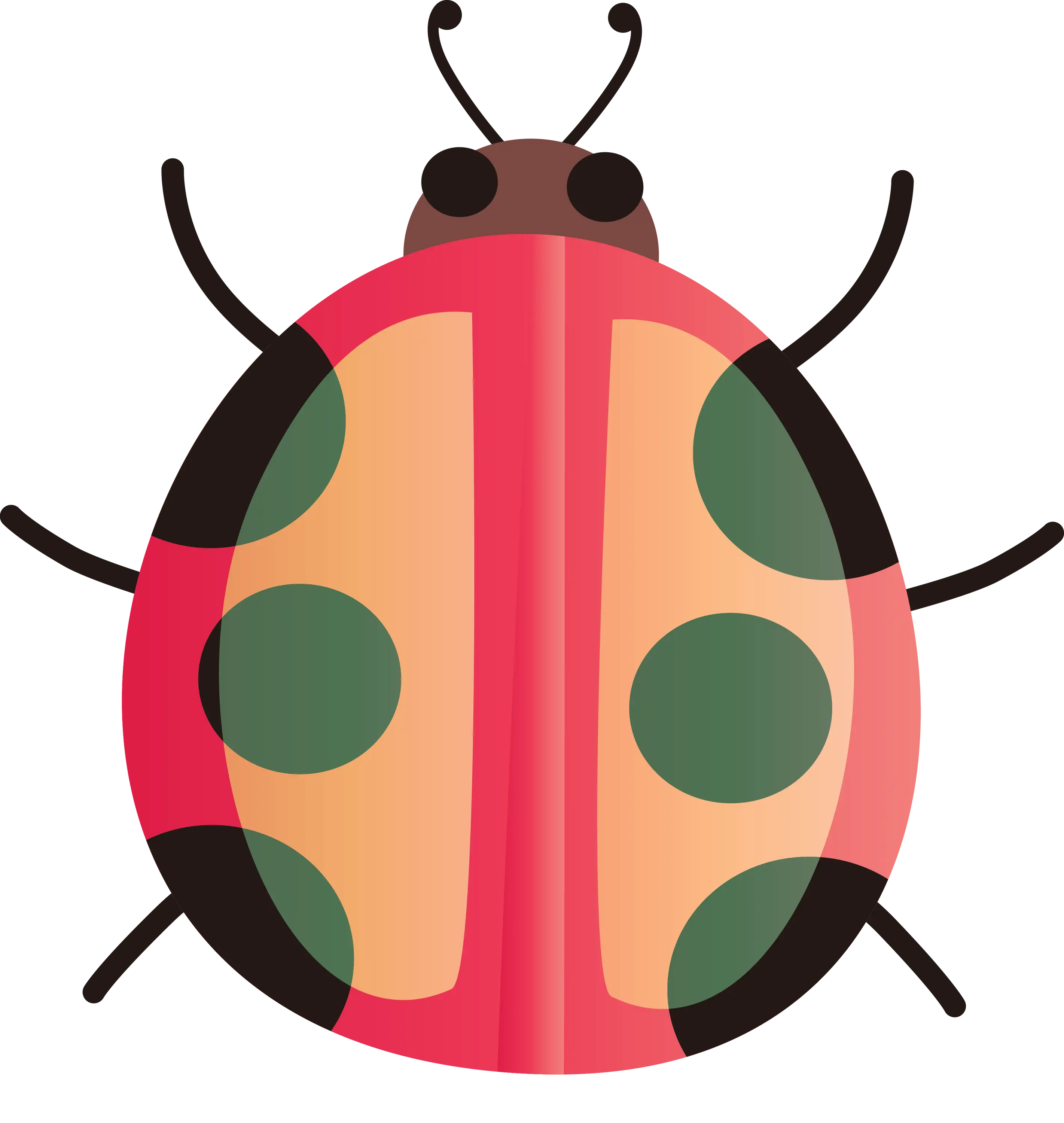 Red Cartoon Ladybug Illustration