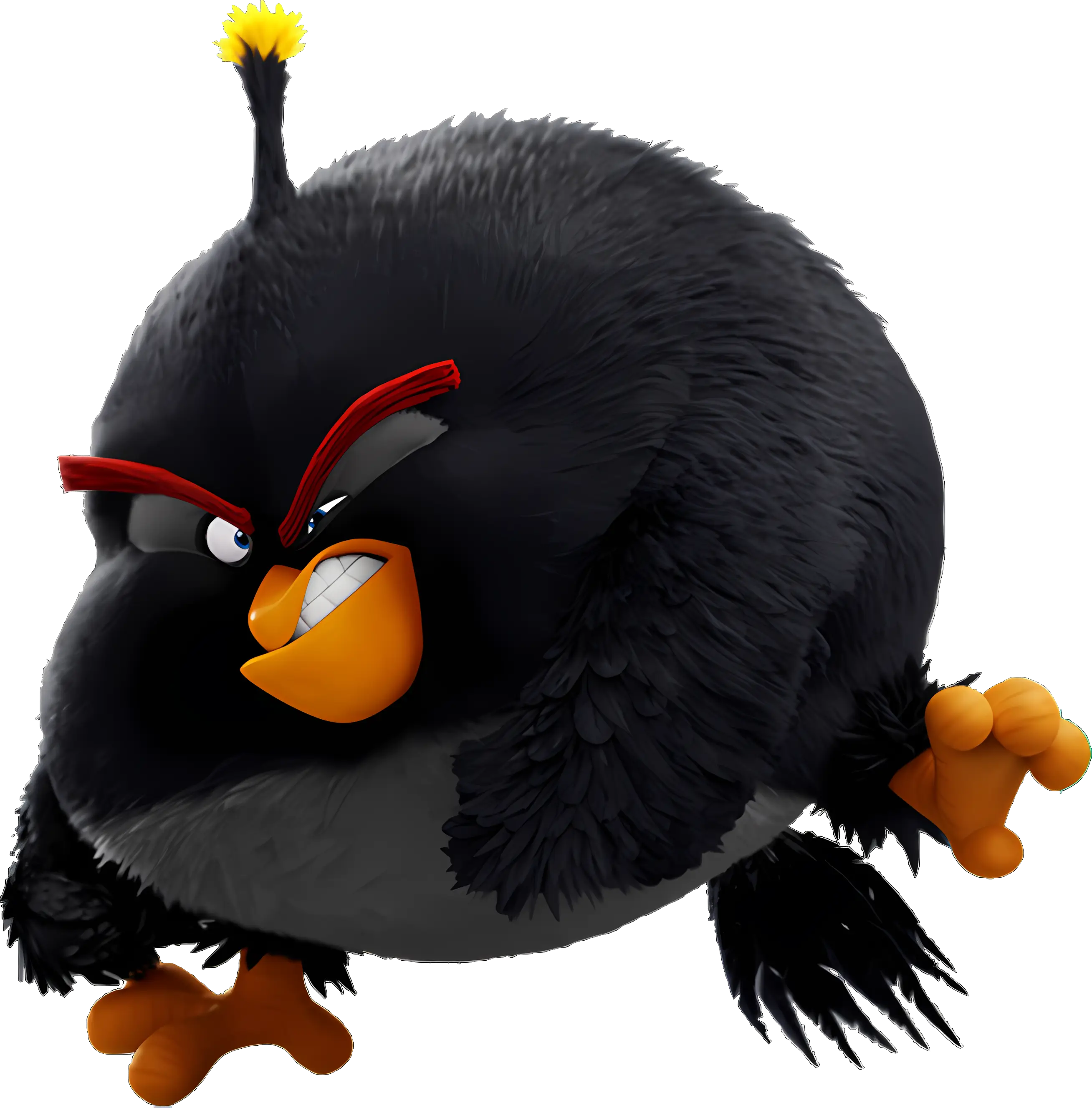 Angry Black Bird Character Illustration