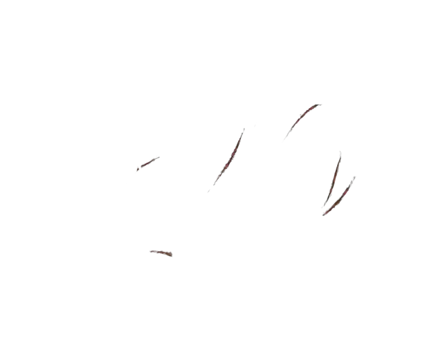 Minimalist Line Art Illustration with Subtle Strokes