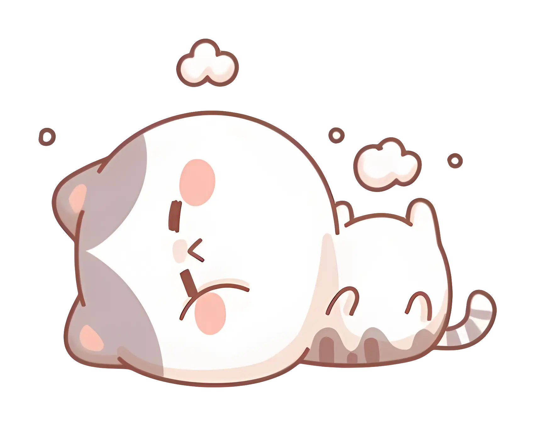 Cute Sleeping Cats
