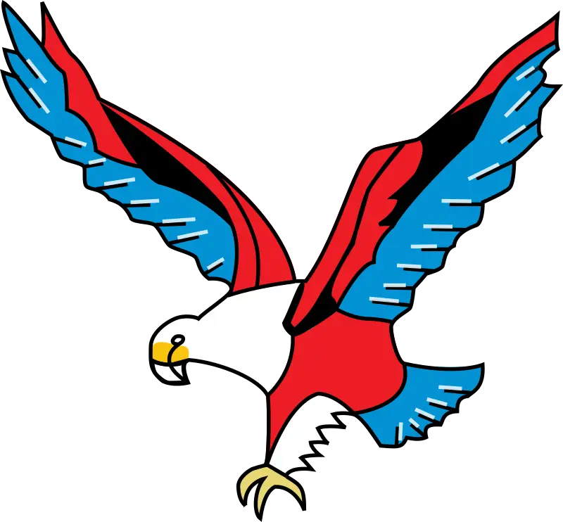 Colorful Eagle in Flight Illustration