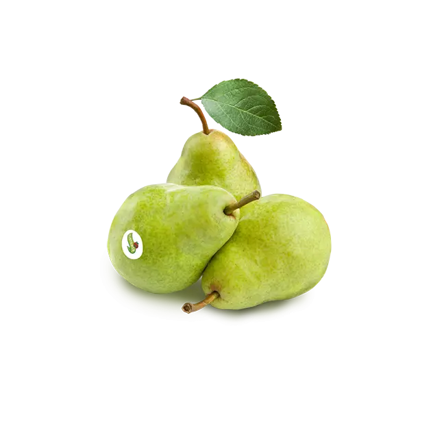 Green Pears with Leaf