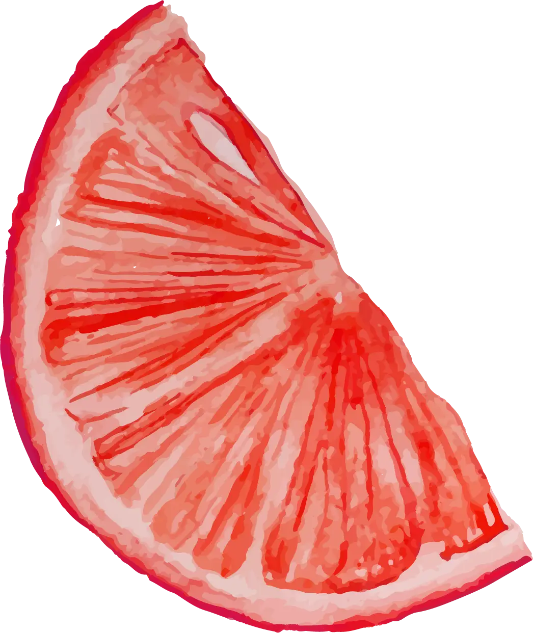 Watercolor Orange Slice