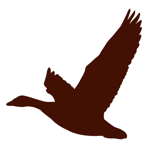 Flying Bird Silhouette Illustration