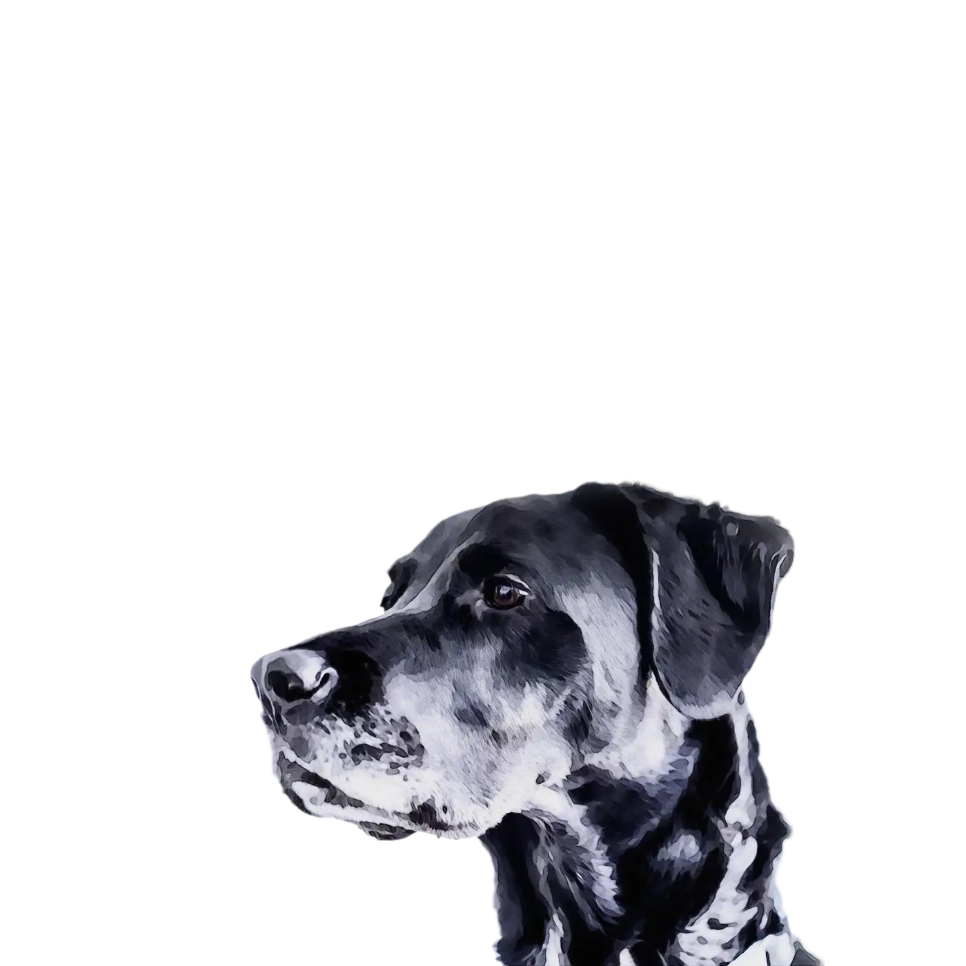 Black Dog Side Profile Image