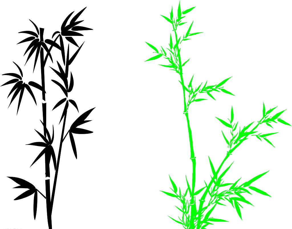 Black and Green Bamboo Illustrations