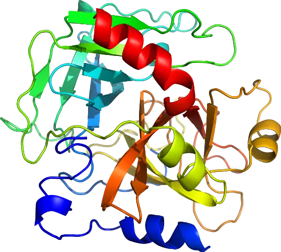 Protein Molecule Structure Illustration