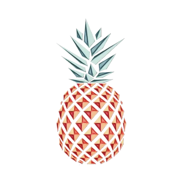 Geometric Pineapple Illustration