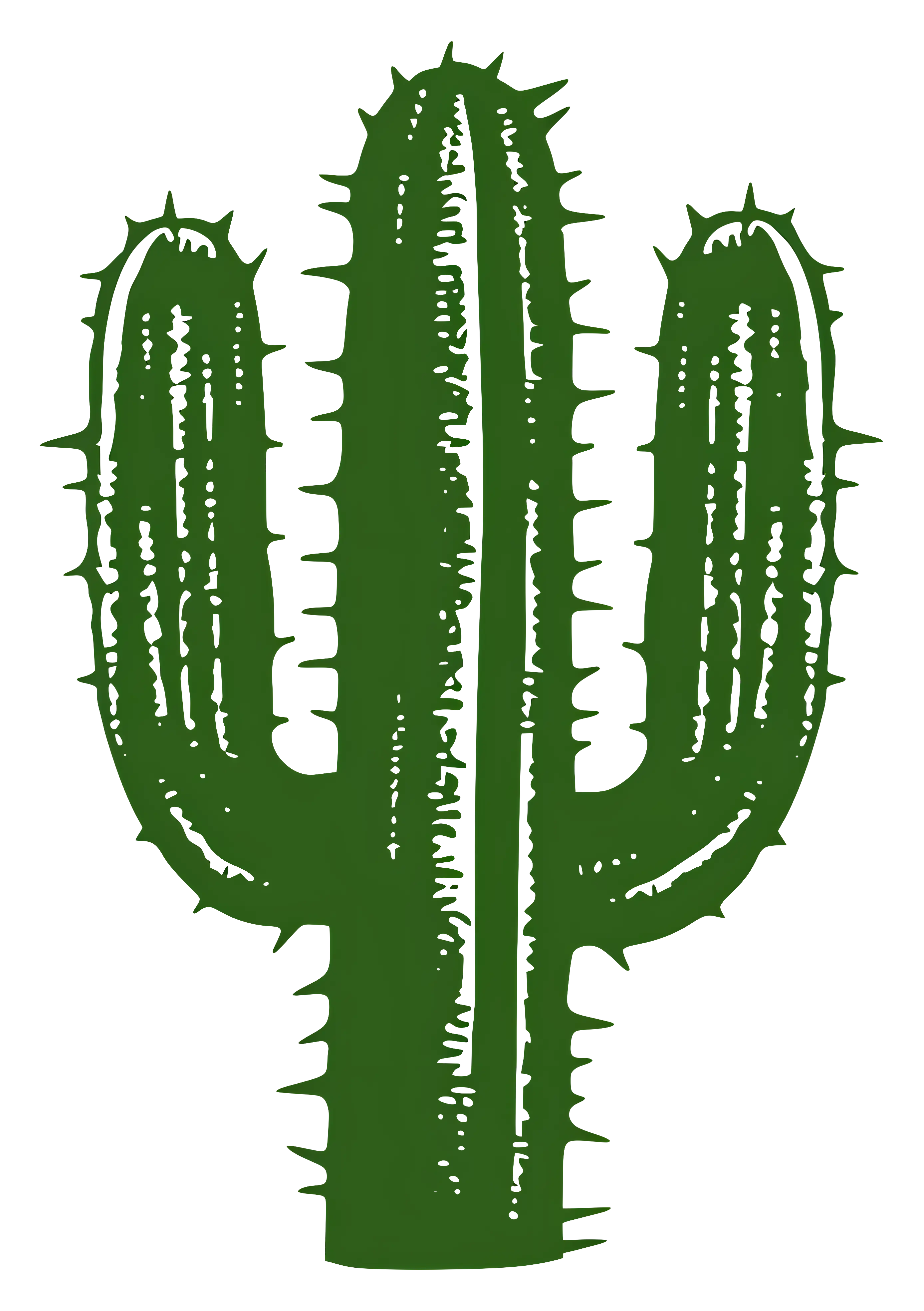 Green Cactus Sketch Illustration