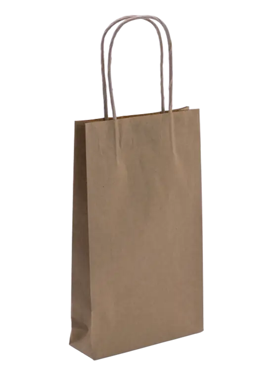 Simple Brown Paper Bag with Handles