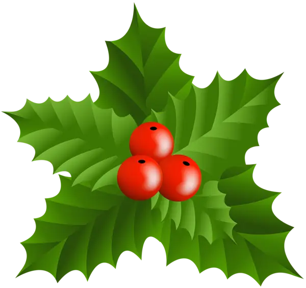 Holly Leaves and Berries Illustration