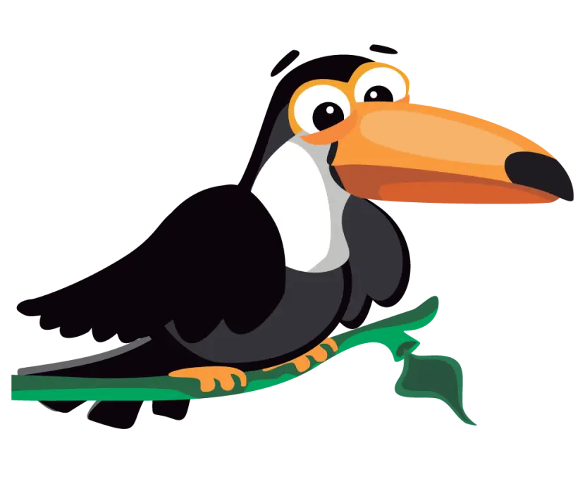 Toucan Animal