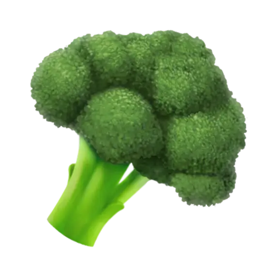 Green Broccoli Illustration