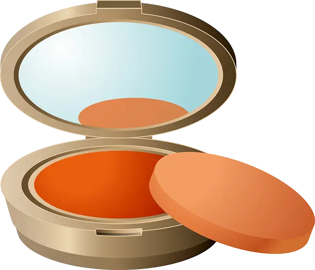 Compact Powder Case for Beauty and Grooming