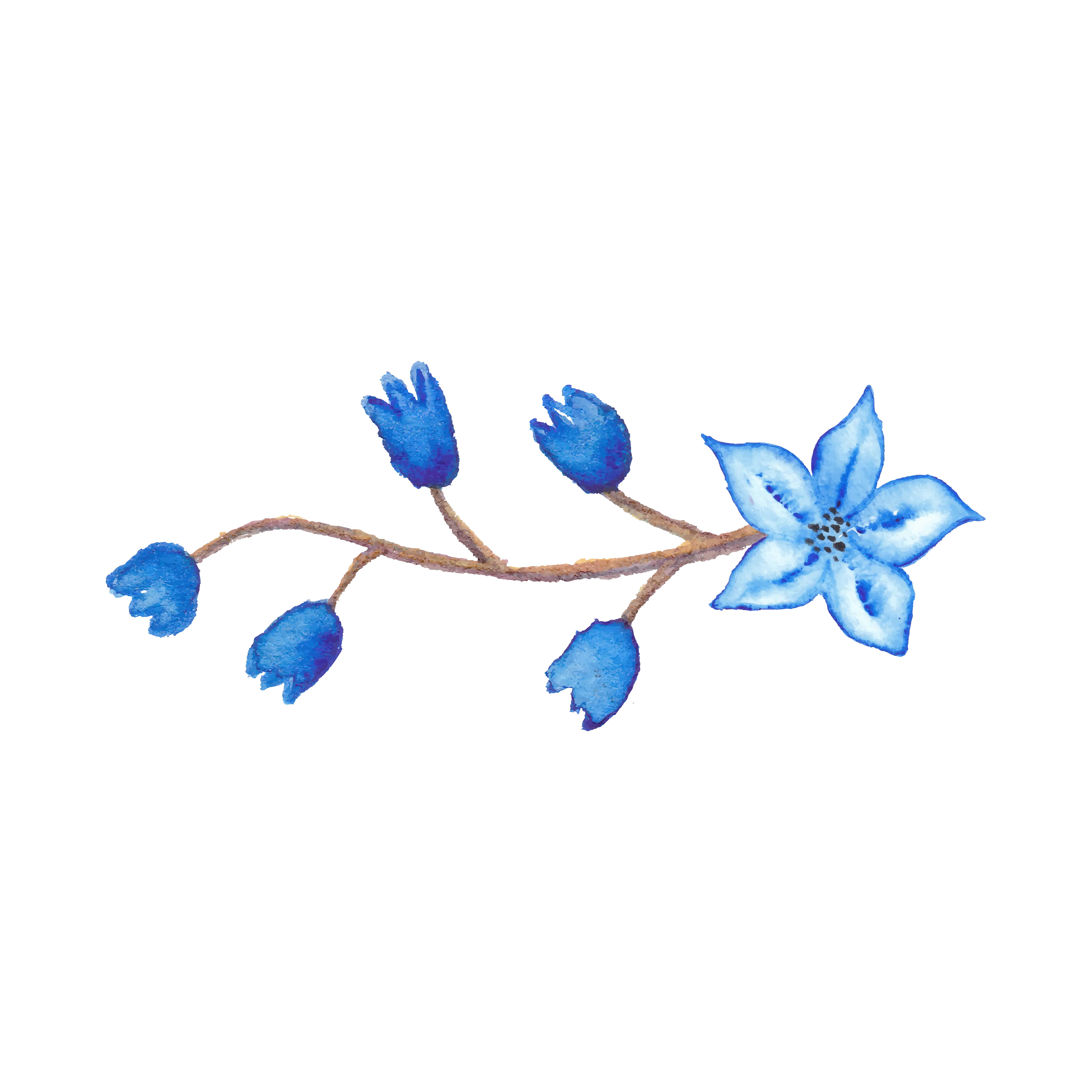 Blue Flower on Branch