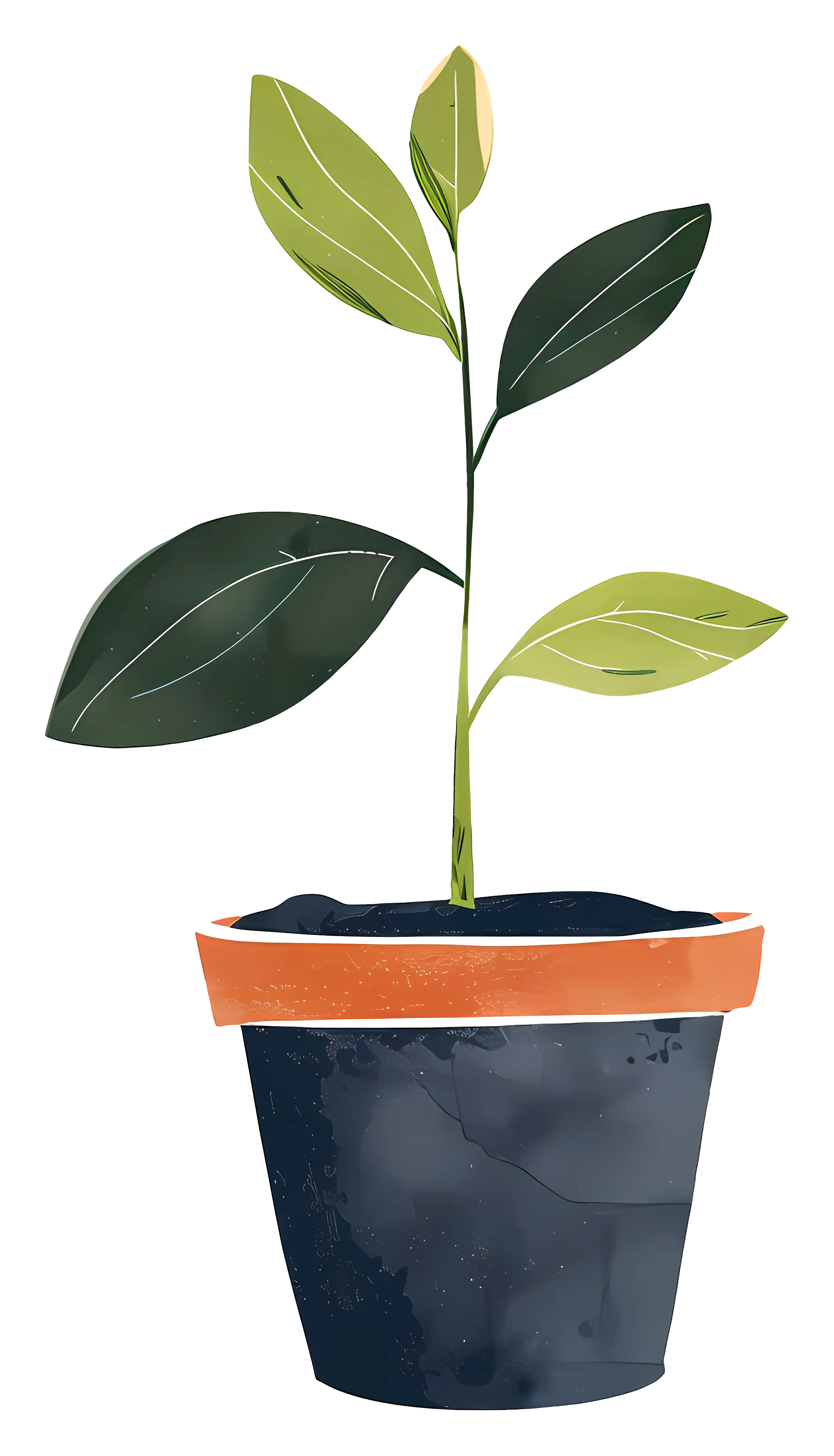 Potted Plant with Leaves Illustration