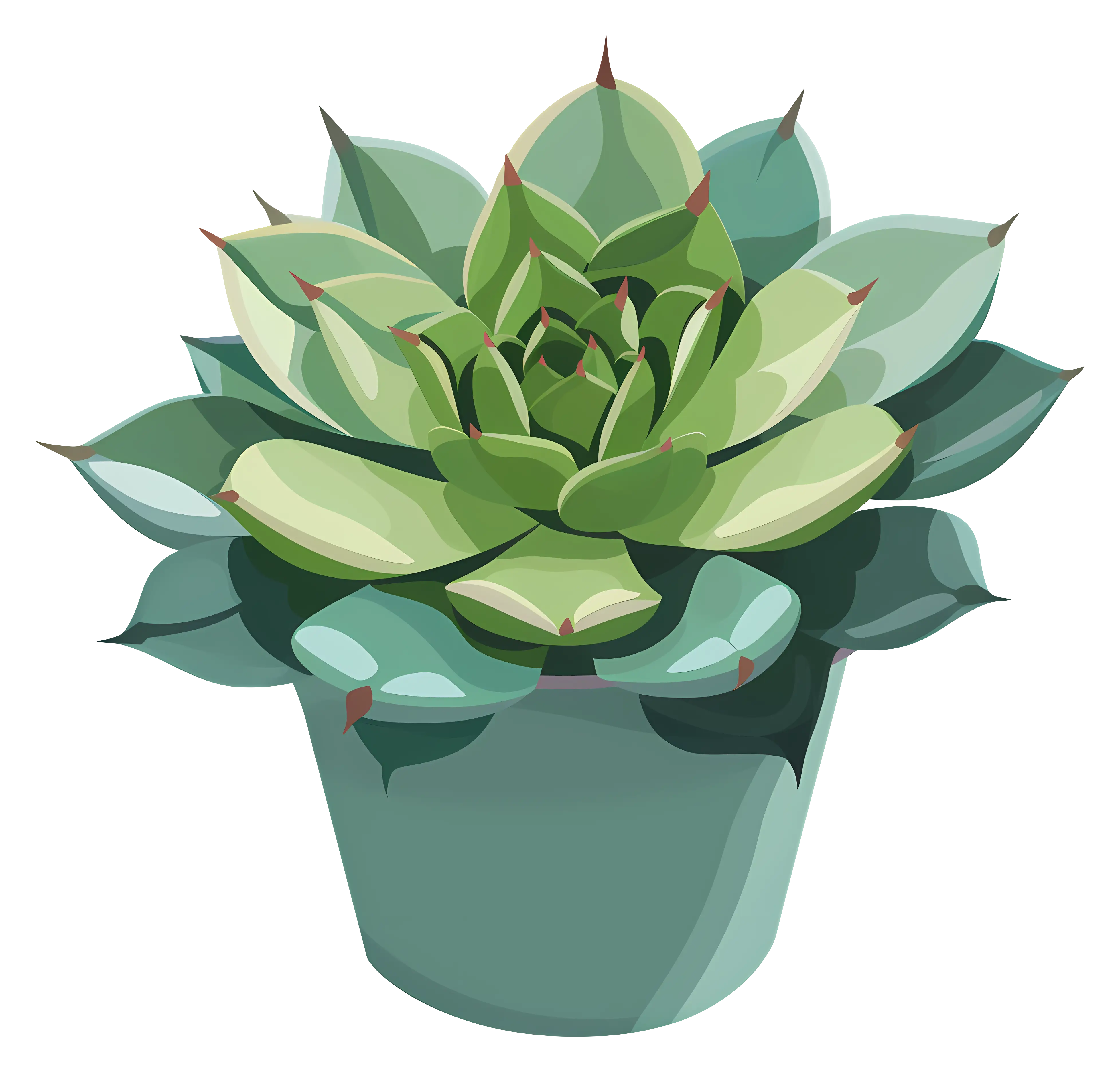 Modern Succulent Plant Illustration