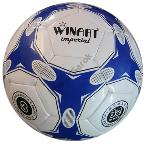 Blue and white Winart soccer ball