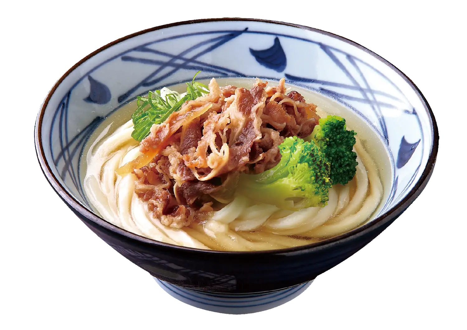 Bowl of Udon Noodles with Beef and Broccoli