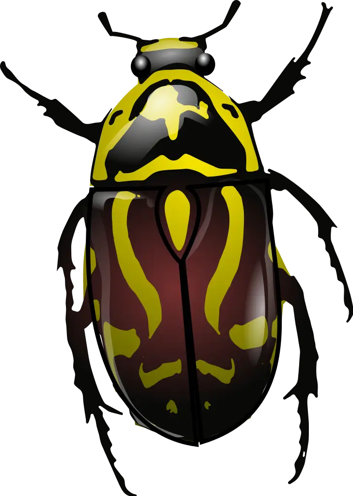 Brightly Colored Beetle Illustration